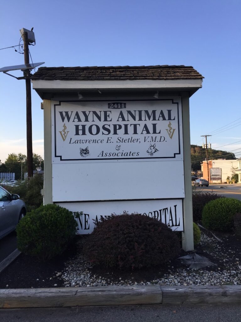 wayne animal hosptial 5 768x1024