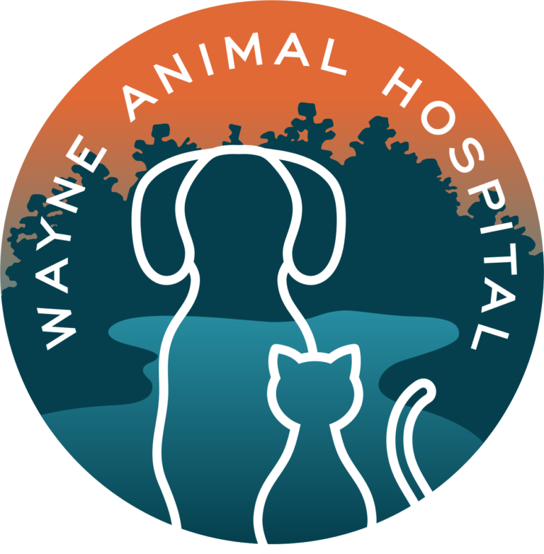 wayne animal hosptial 768x782