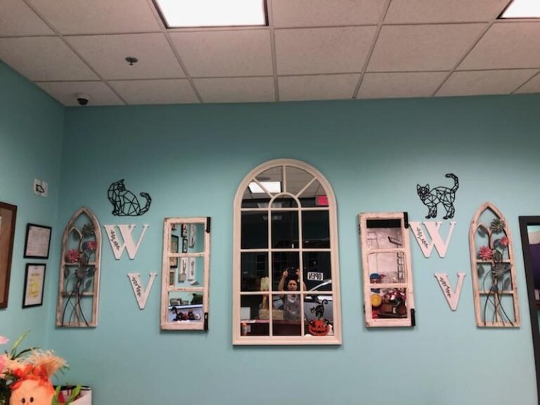 wayne valley animal hospital 4 768x576