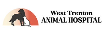 west trenton animal hospital