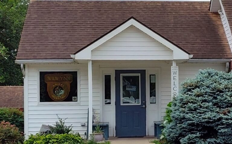 wilwynn animal hospital 2 768x479