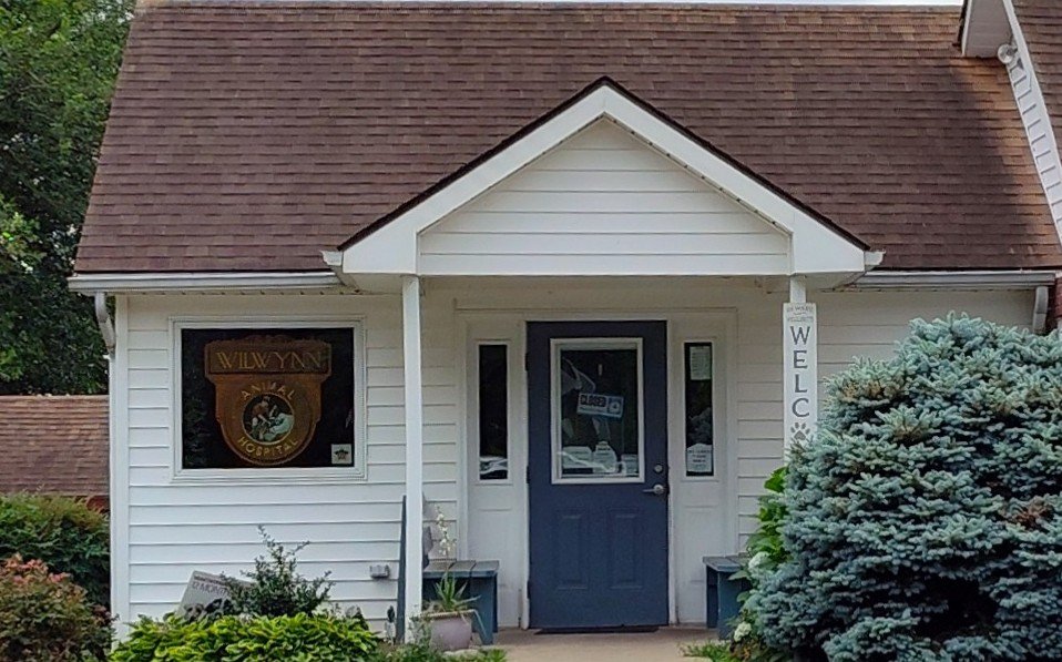 wilwynn animal hospital 2