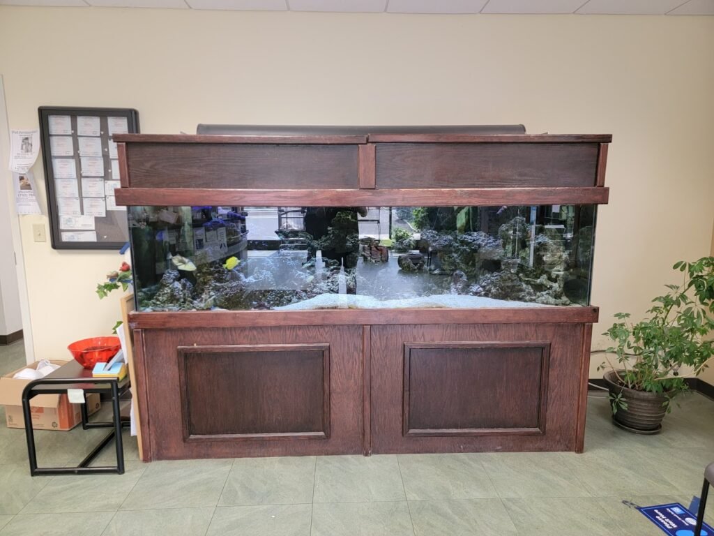 woodbridge veterinary group 2 1024x768