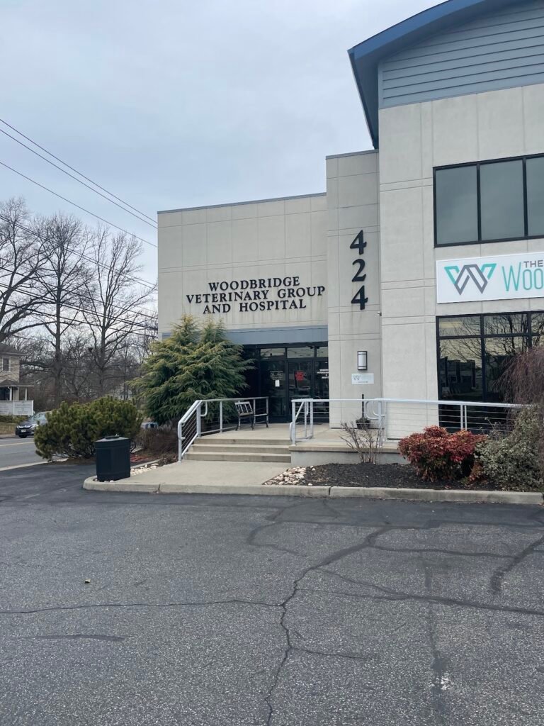 woodbridge veterinary group 5 768x1024