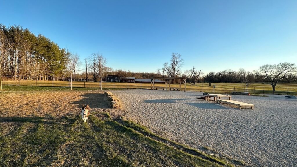 alexander ching memorial dog park holmdel 1 1024x576