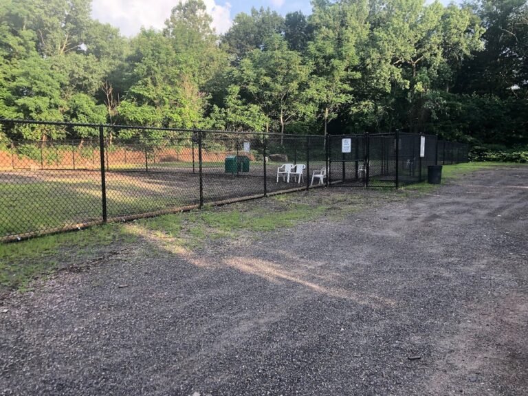 bergenfield dog park bergenfield 1 768x576