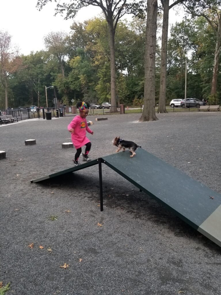 branch brook park dog park newark 1 768x1024