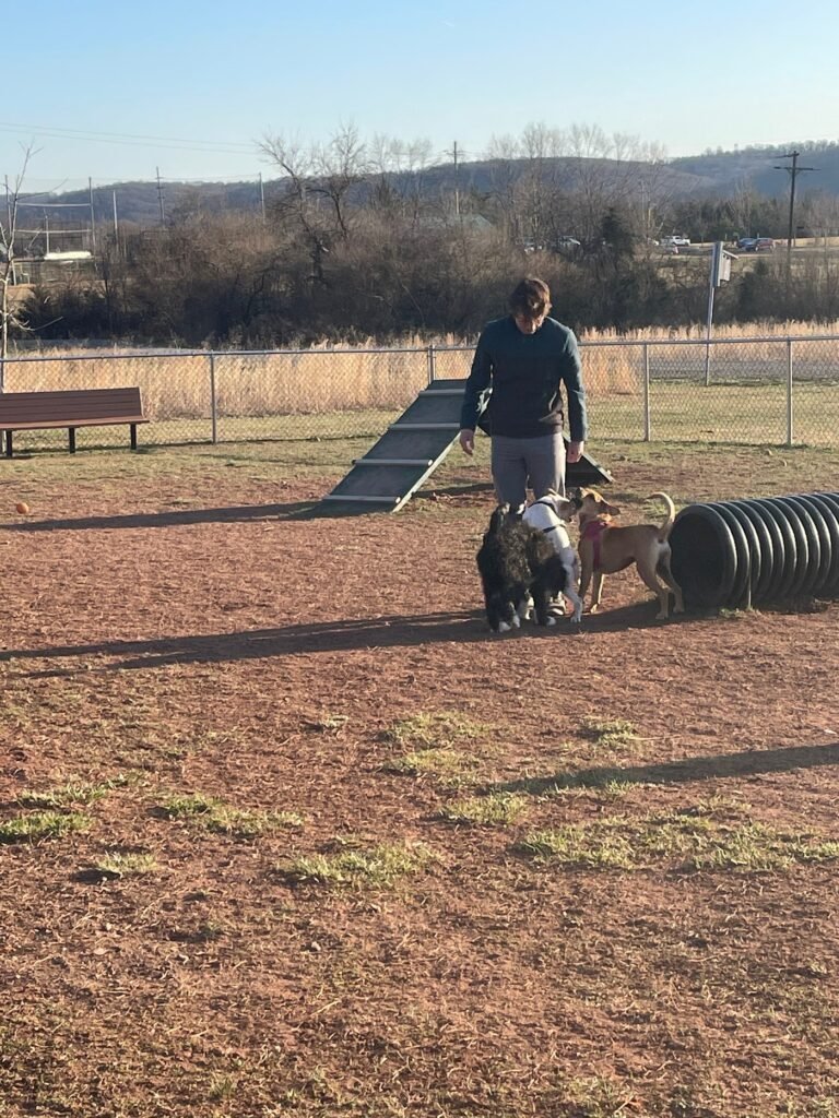 bundt park dog park lebanon 1 768x1024