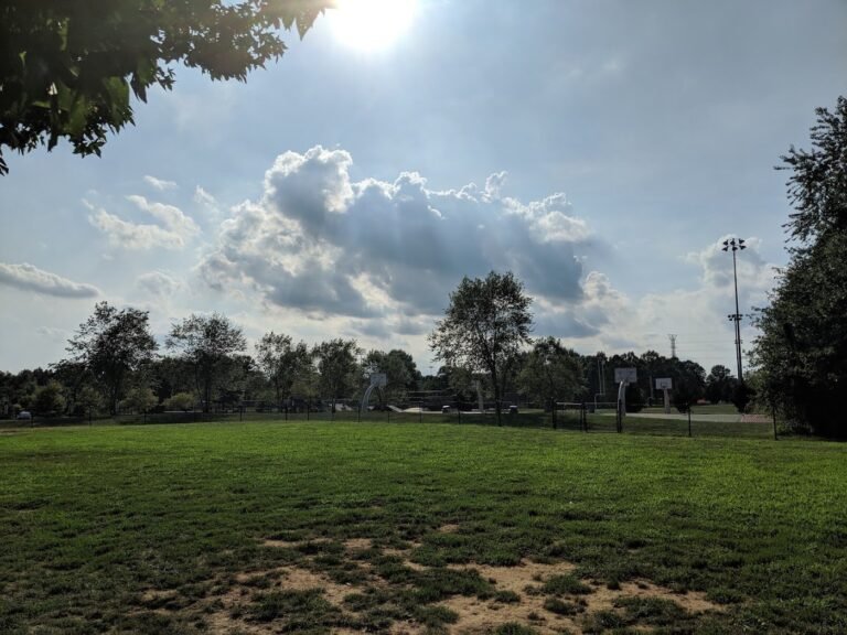 canine commons west windsor dog park west windsor 1 768x576