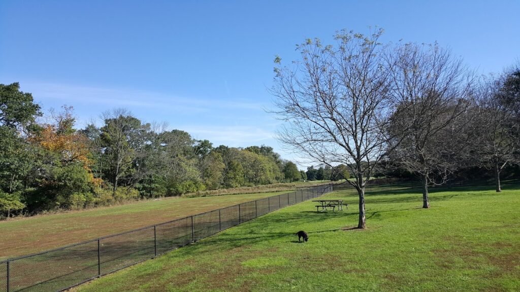colonial dog park somerset 1 1024x576