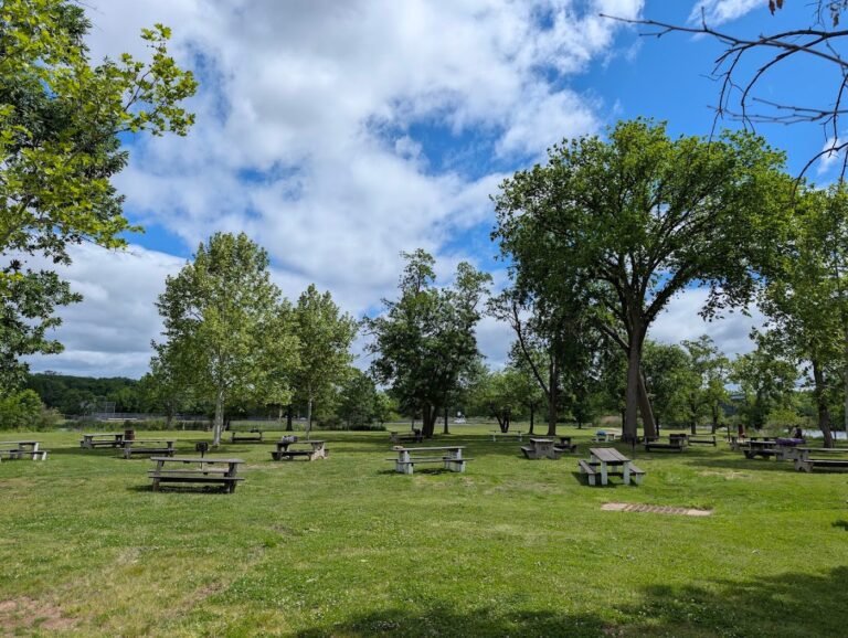 donaldson dog park highland park 1 768x578