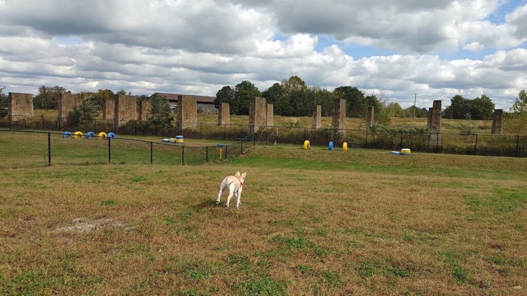 florence township dog park roebling 1 1024x576