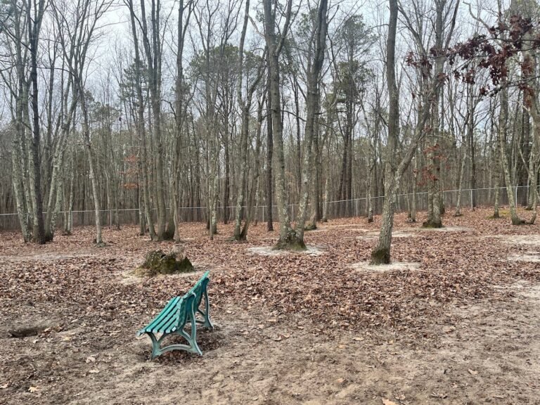 howell bark park howell township 1 768x576