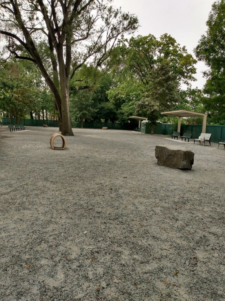 lincoln park dog run jersey city 1 768x1024