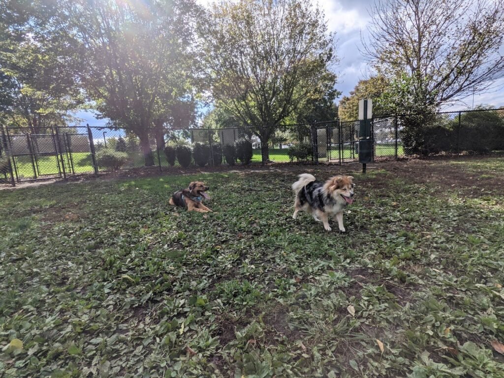 marlboro dog park marlboro township 1 1024x768