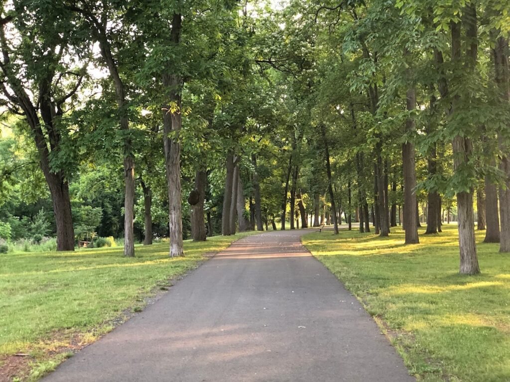 montgomery dog park skillman 1 1024x768