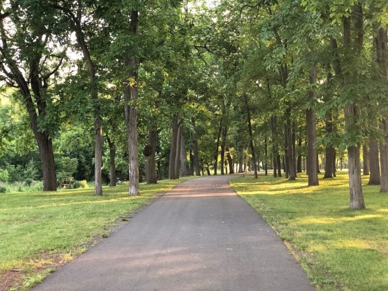 montgomery dog park skillman 1 768x576