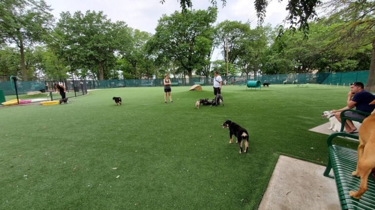 north hudson county park dog park north bergen 1 768x432