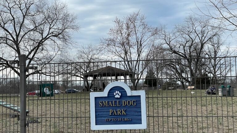 pennington park dog park delanco 1 768x432