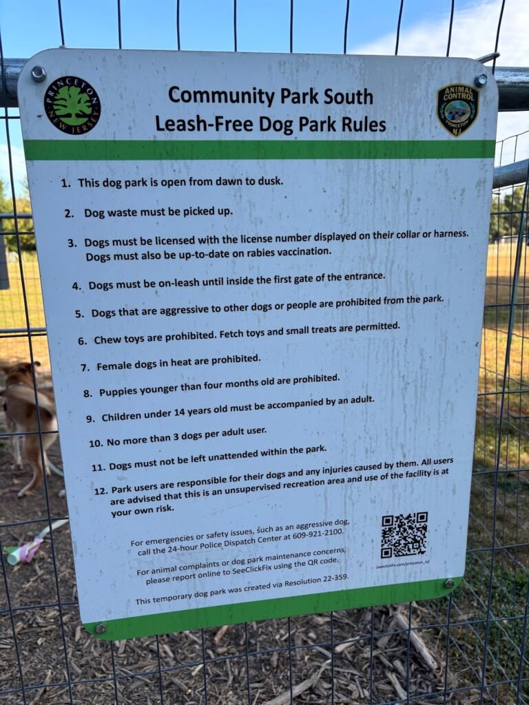 princeton dog park princeton 1 768x1024