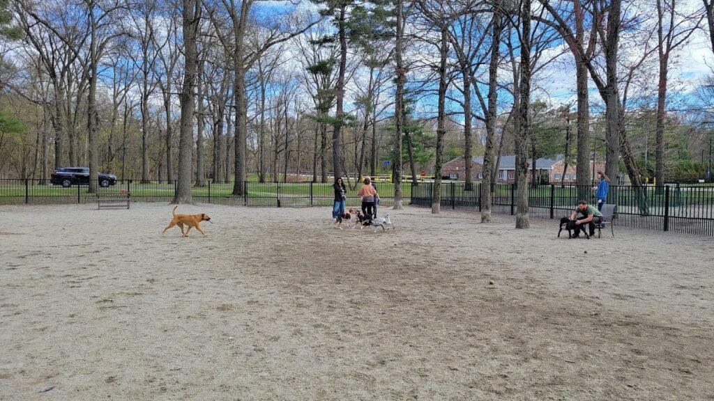 ridgewood dog park ridgewood 1 1024x576