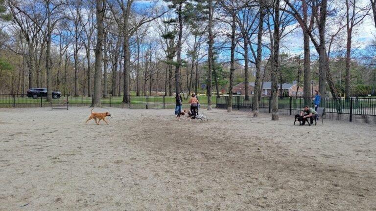 ridgewood dog park ridgewood 1 768x432