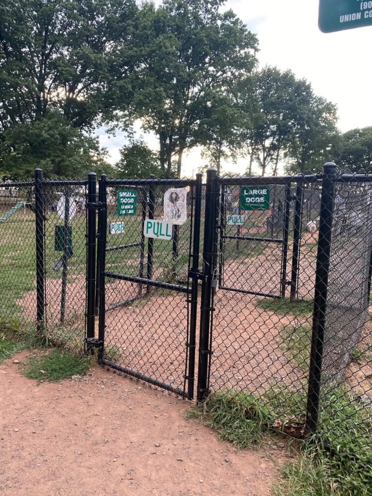 roselle dog park roselle 1 768x1024