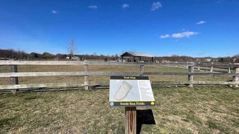 swede run fields dog park moorestown 1 768x432