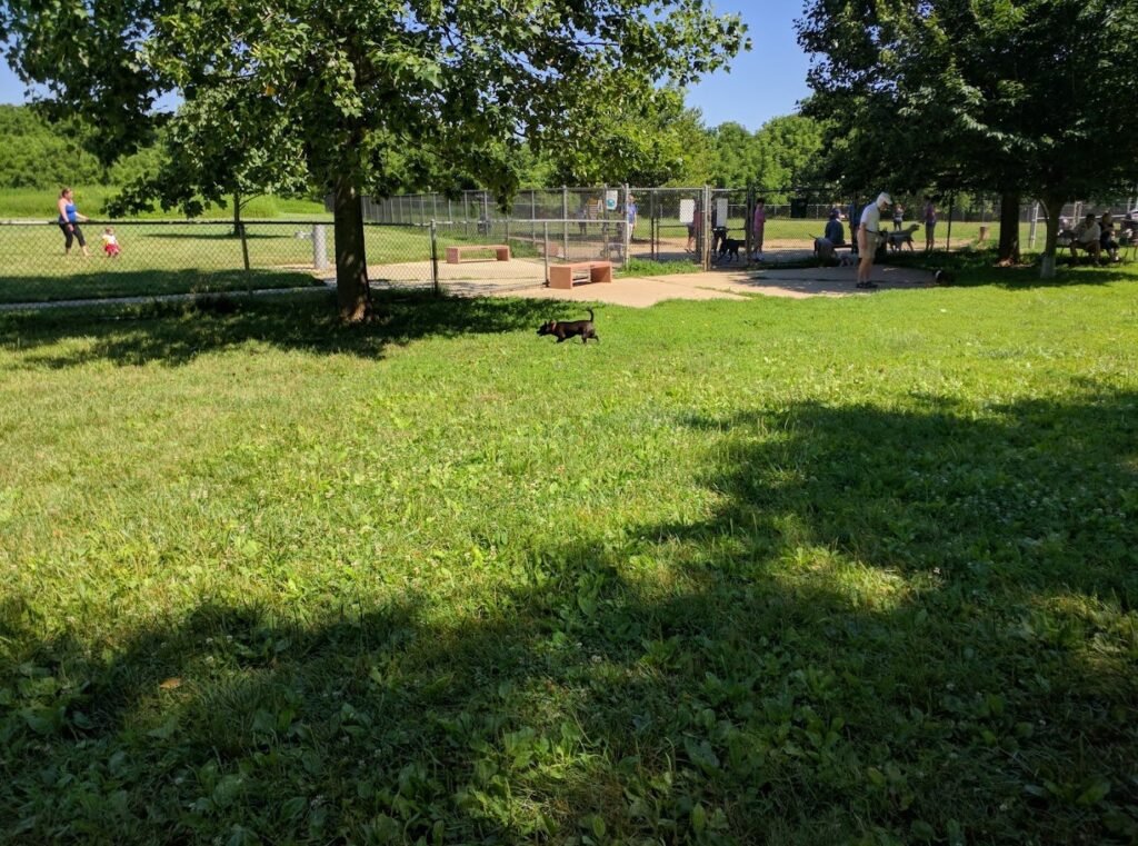 thompson park off leash dog area lincroft 1 1024x761