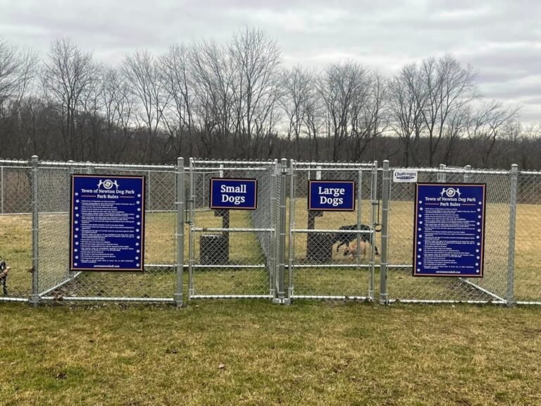 town of newton dog park newton 1 768x576