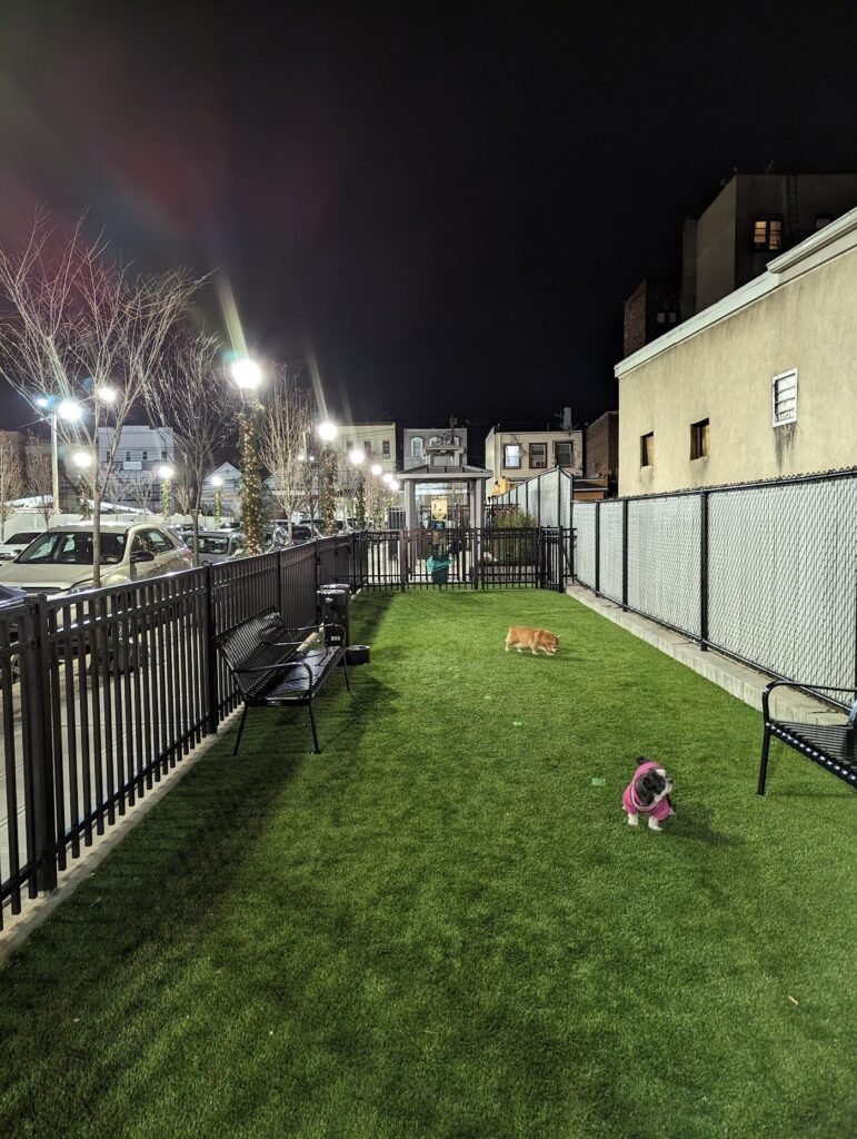 union city small dog park union city 1 771x1024