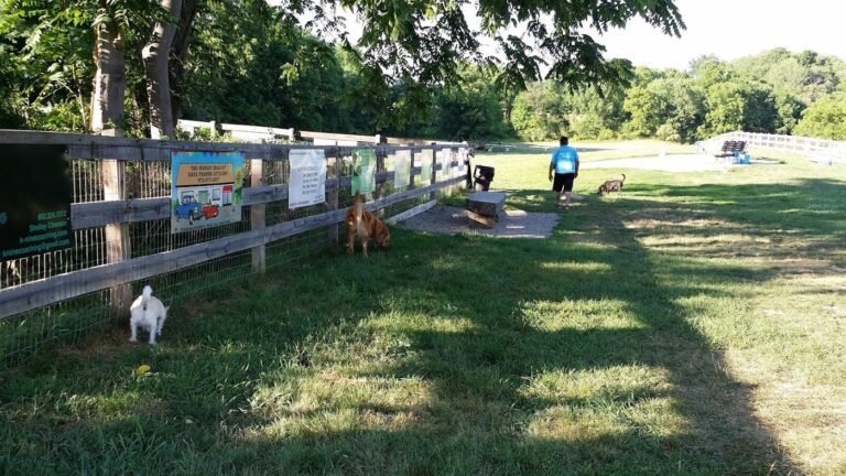 vernon dog park vernon township 1 768x432