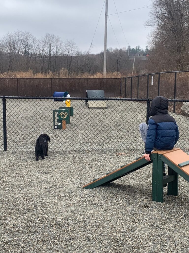 wanaque dog park haskell 1 768x1024