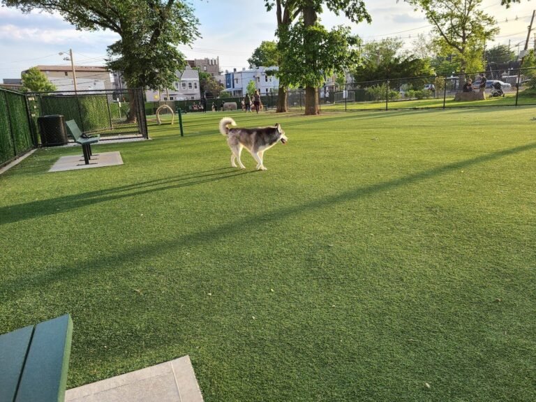 washington park dog run union city 1 768x576