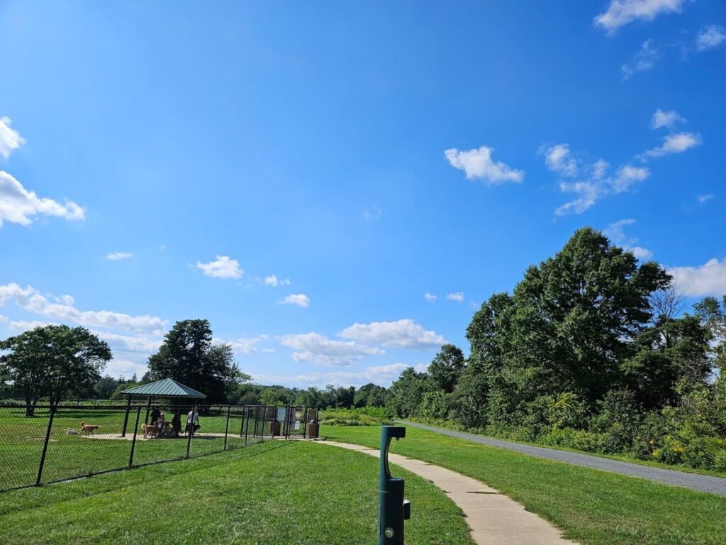 wolf hill off leash dog park oceanport 1 1024x768