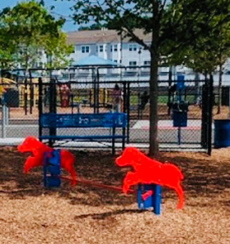 wood ridge dog park wood ridge 1 768x813