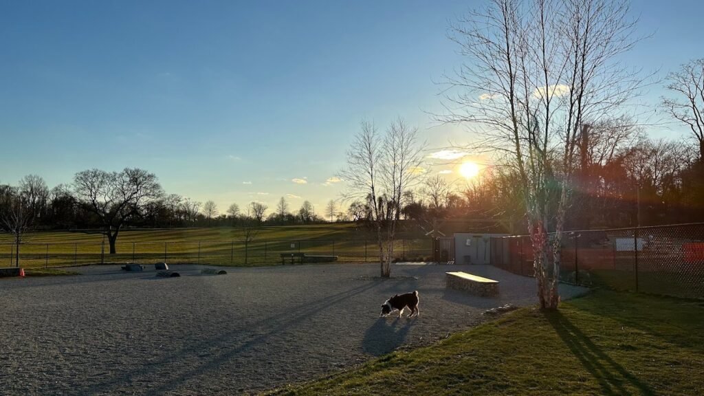 alexander ching memorial dog park holmdel 4 1 1024x576