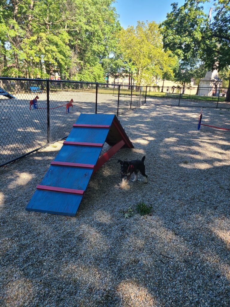 armory memorial dog park passaic 2 1 768x1024