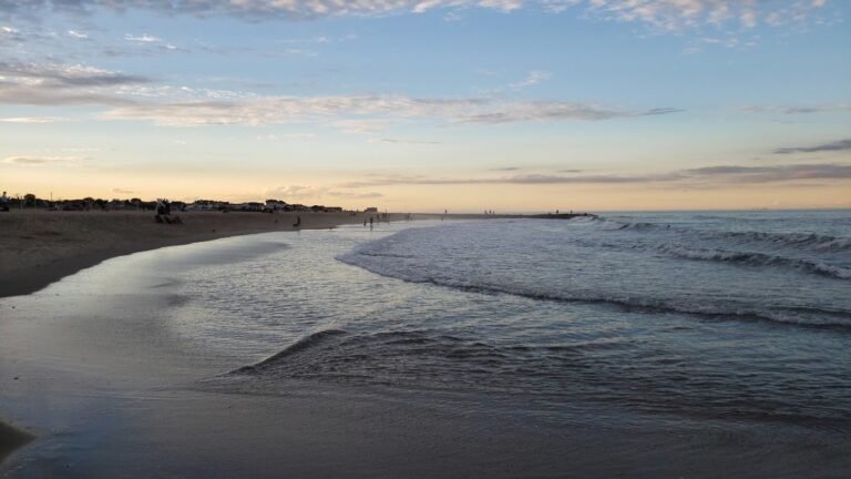 asbury park dog beach asbury park 4 1 768x432