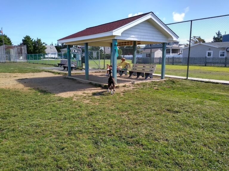 barnegat light dog park barnegat light 5 1 768x576