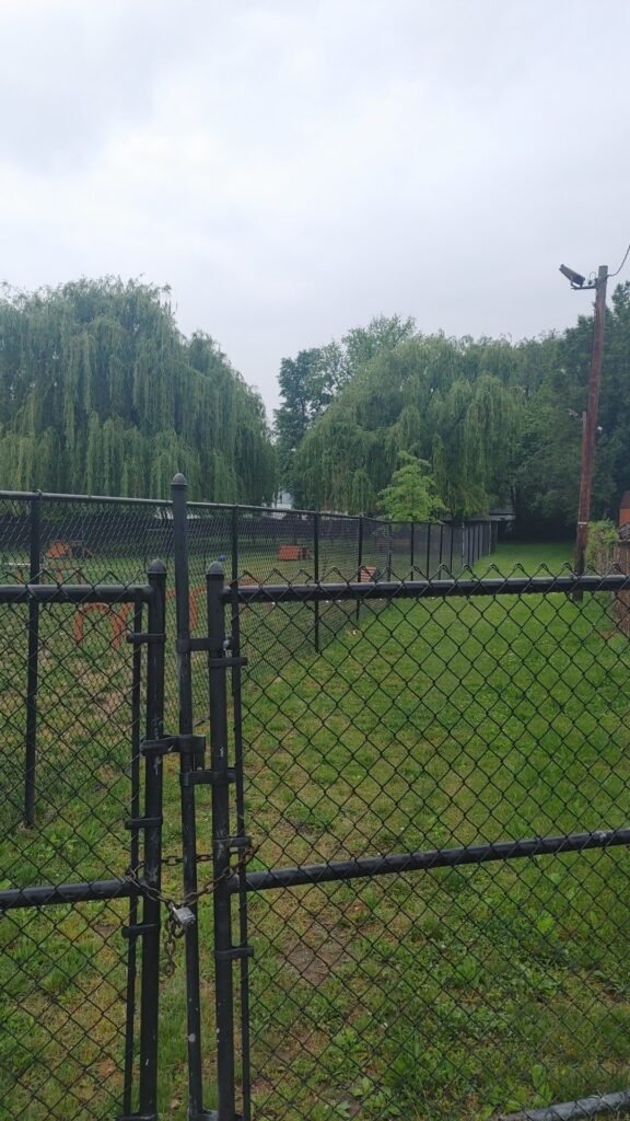 borough of bellmawr dog park bellmawr 5 1 576x1024