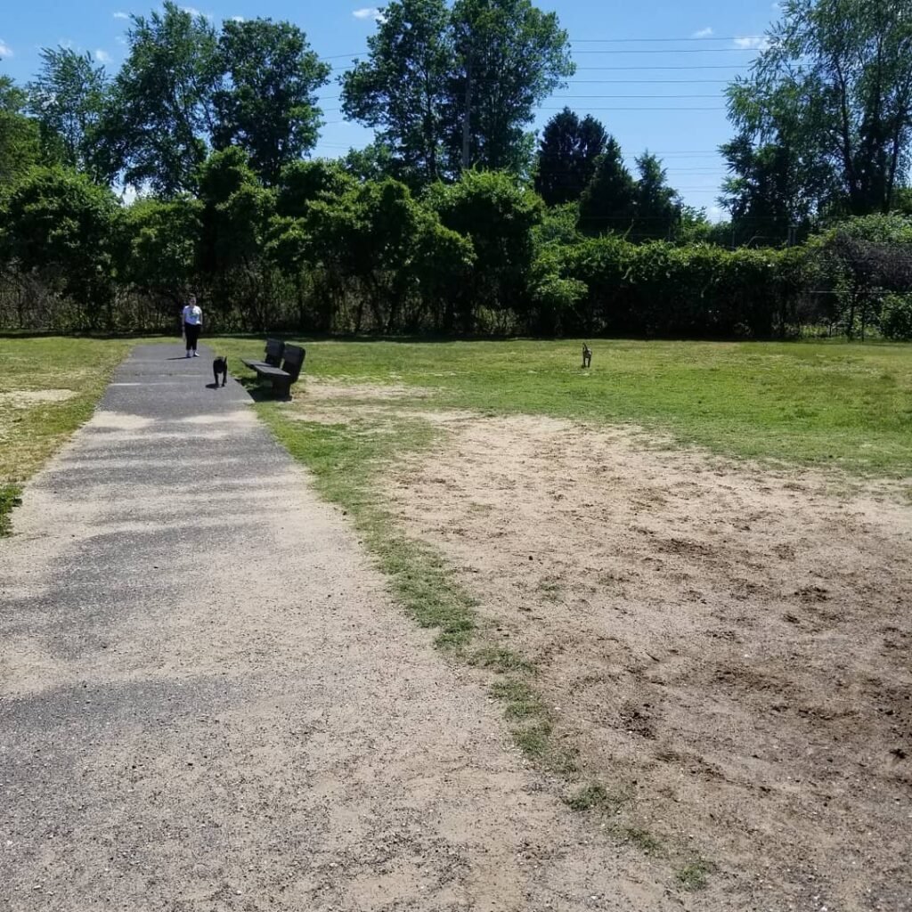 bow wow dog park pennsauken 4 1 1024x1024