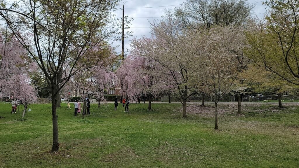 branch brook park dog park newark 2 1 1024x576
