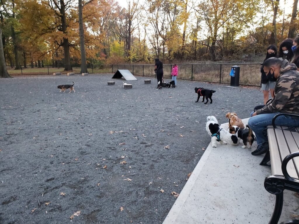 branch brook park dog park newark 3 1 1024x768