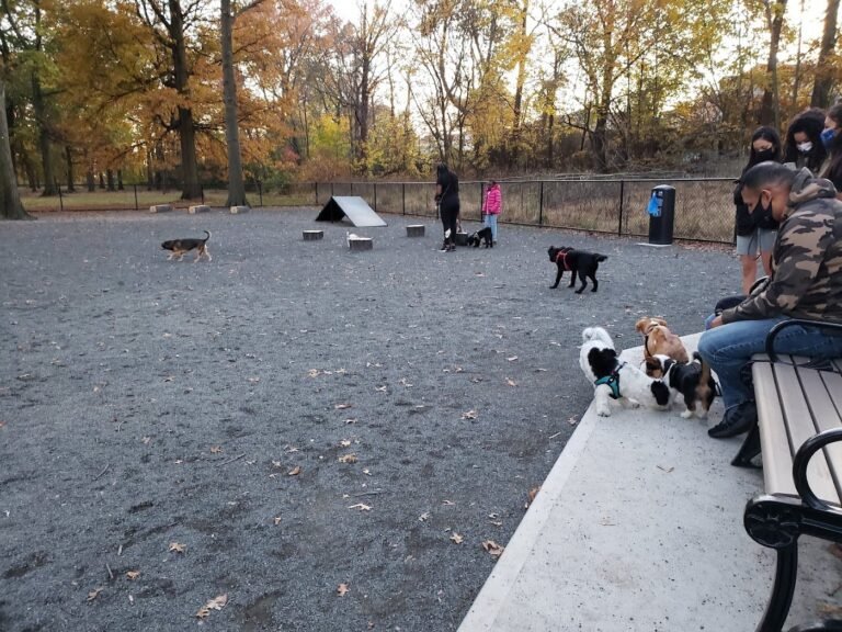 branch brook park dog park newark 3 1 768x576
