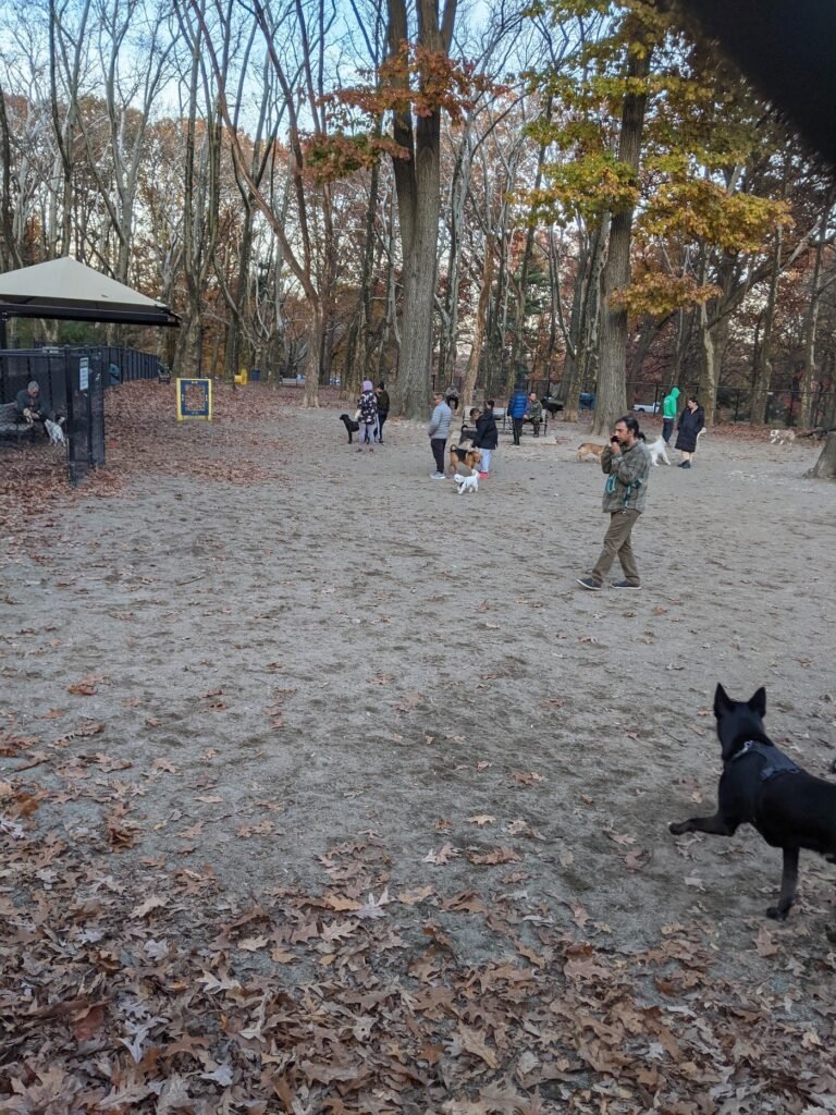 brookdale dog park upper montclair 2 1 768x1024
