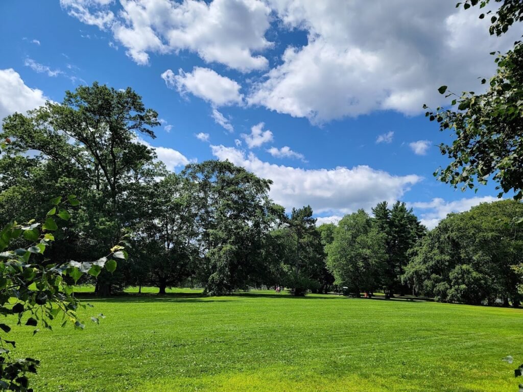 brookdale dog park upper montclair 4 1 1024x768