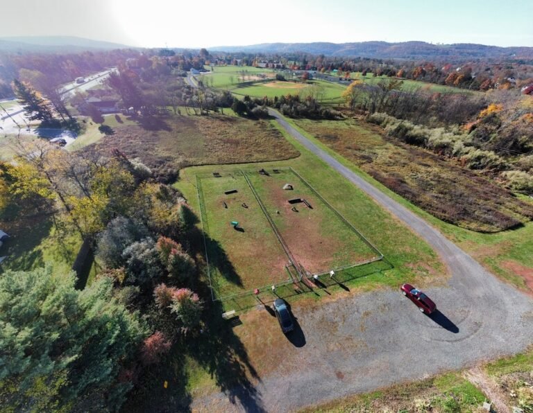 bundt park dog park lebanon 2 1 768x596