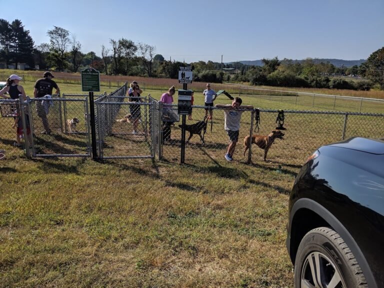 bundt park dog park lebanon 3 1 768x576