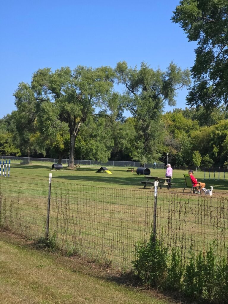 burlington dog park burlington 2 1 768x1024